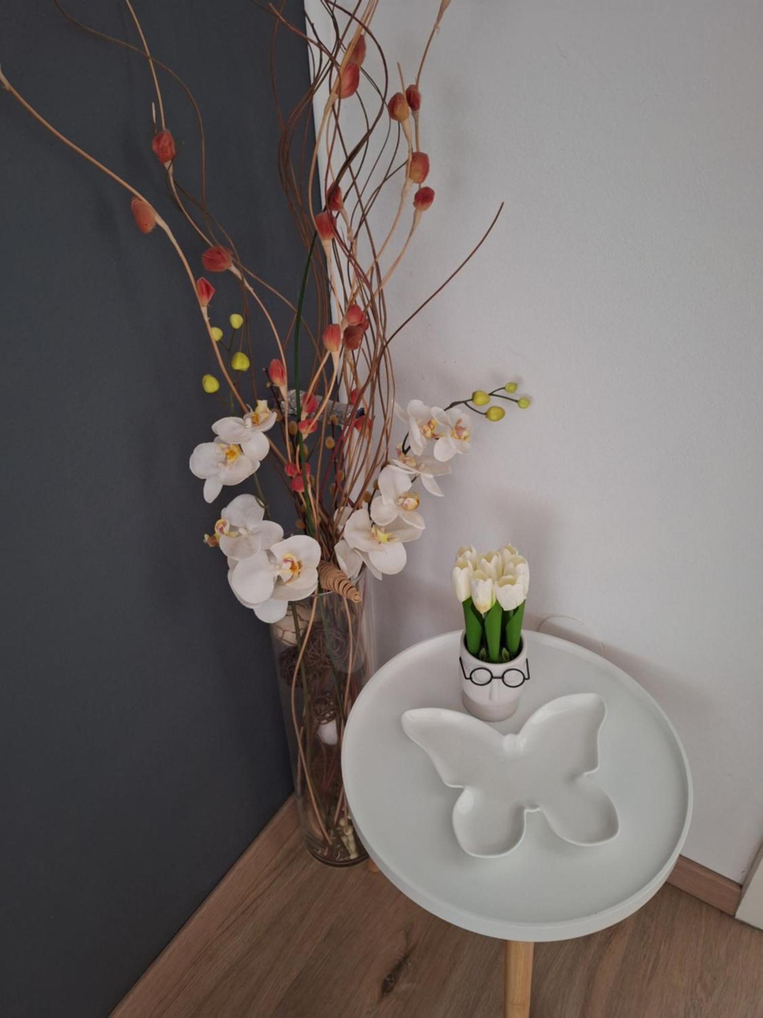 Apartments And Rooms Lorena 236 Rovinj Ngoại thất bức ảnh